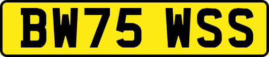 BW75WSS