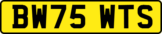 BW75WTS