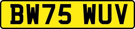 BW75WUV