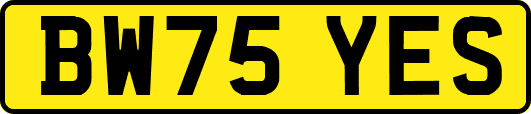 BW75YES