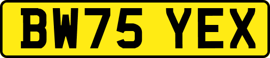 BW75YEX