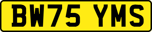 BW75YMS