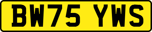 BW75YWS