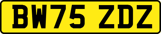 BW75ZDZ
