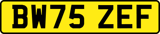 BW75ZEF
