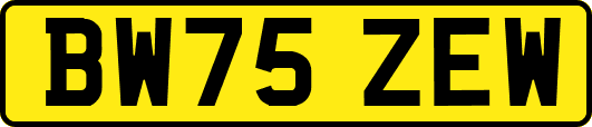 BW75ZEW