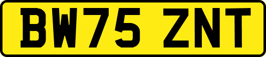 BW75ZNT