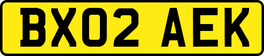 BX02AEK