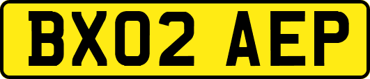 BX02AEP