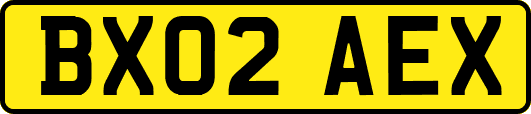 BX02AEX