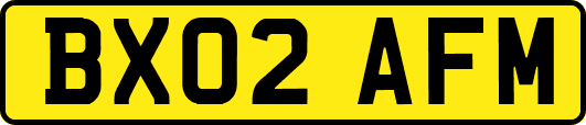 BX02AFM