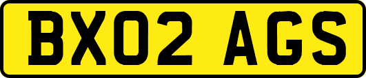 BX02AGS