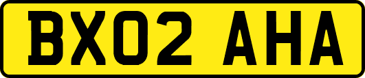 BX02AHA