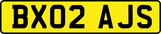 BX02AJS