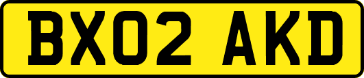 BX02AKD
