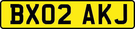 BX02AKJ