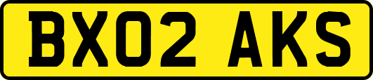 BX02AKS
