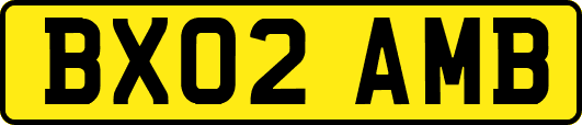 BX02AMB