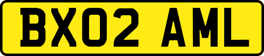 BX02AML