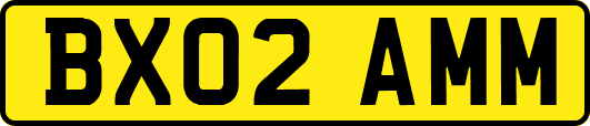 BX02AMM