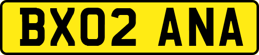 BX02ANA