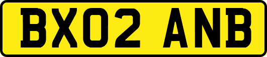 BX02ANB