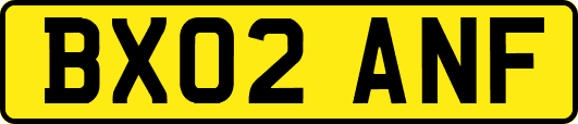 BX02ANF