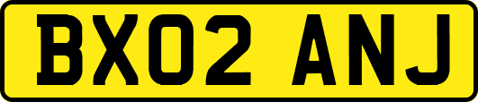 BX02ANJ