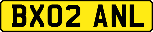 BX02ANL