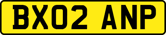 BX02ANP
