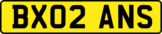 BX02ANS
