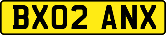 BX02ANX