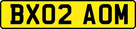 BX02AOM