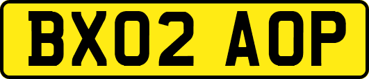 BX02AOP