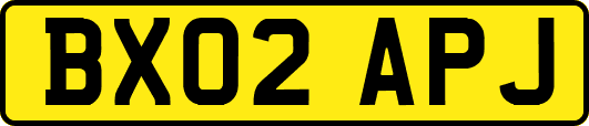 BX02APJ