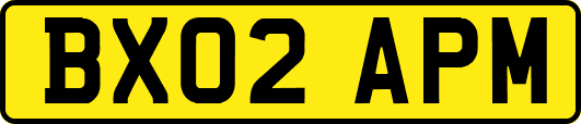 BX02APM