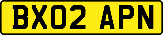 BX02APN