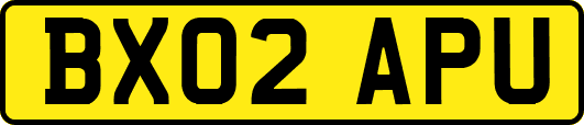 BX02APU