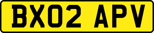 BX02APV