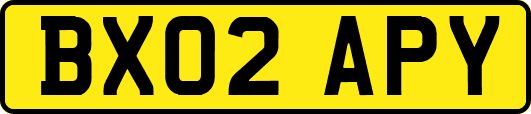 BX02APY