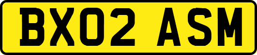 BX02ASM
