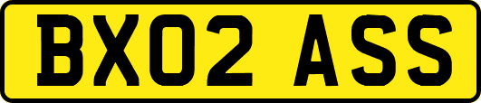 BX02ASS