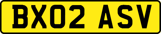 BX02ASV