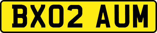 BX02AUM