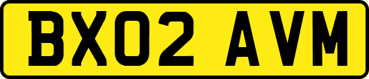 BX02AVM
