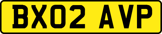 BX02AVP