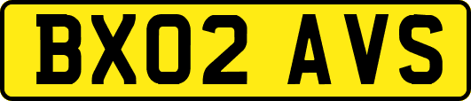 BX02AVS