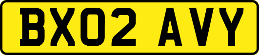 BX02AVY