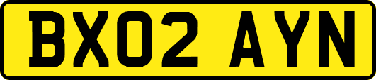 BX02AYN