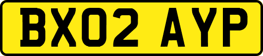 BX02AYP